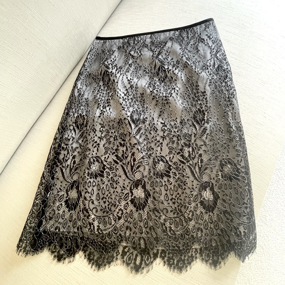Ann Taylor Skirt
